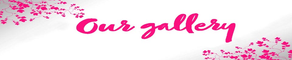 about us banner- edited